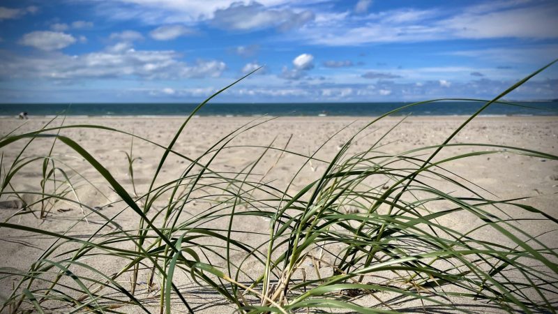 Featured image for “Sommerurlaub 2024”